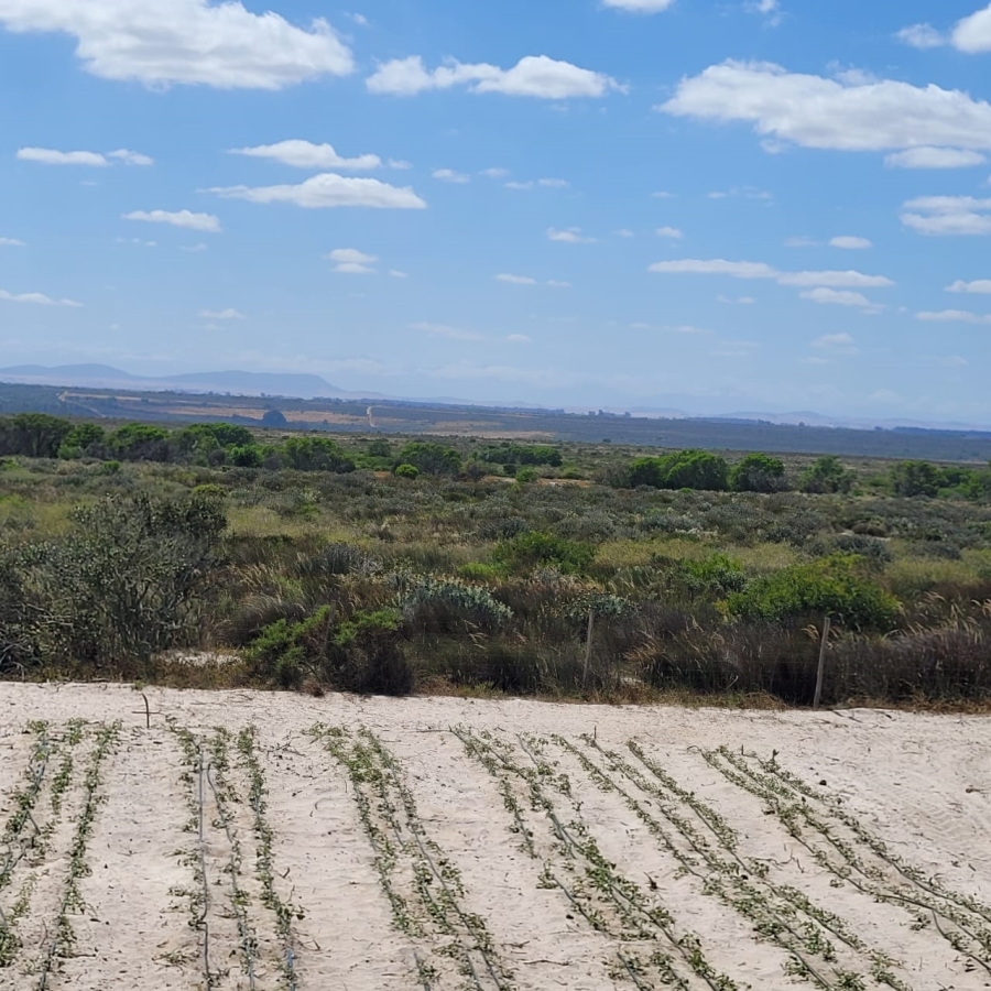 To Let 3 Bedroom Property for Rent in Hartebeesfontein Western Cape